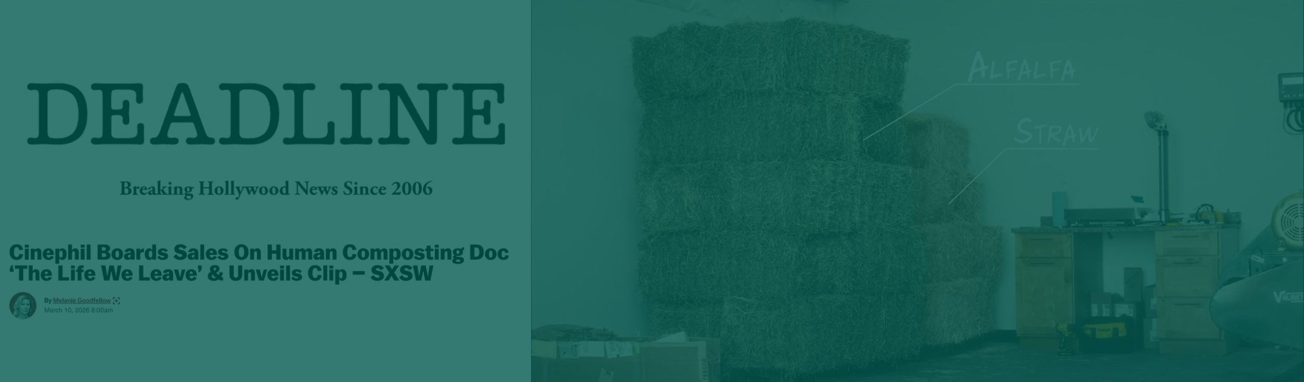 Deadline The Live We leave - Red Wolf Films